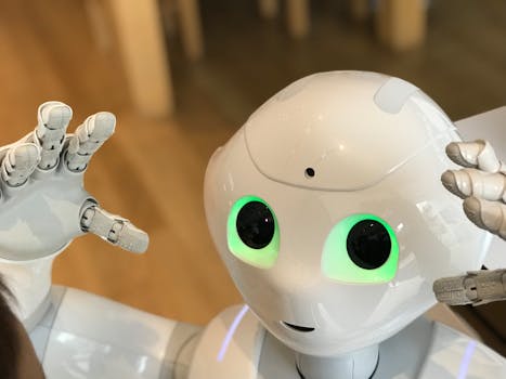 De robot rukt op in Limburg: van ziekenhuis tot fabriek en klaslokaal