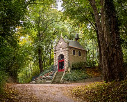 Tiny house in Limburgse natuur als voorbeeld van investeren in recreatief vastgoed