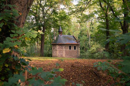 Avondsfeer in Limburg met sterrenhemel, stadslichten en cultureel publiek als beeld bij saints and stars