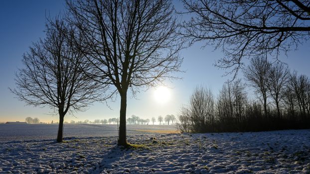 Sneeuw op een weg in Limburg met auto's, natte rijbanen en winterweer in de vroege ochtend
