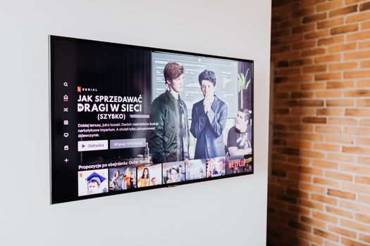 Overzicht van de beste Netflix-series van 2026 met kijktrends in Limburg